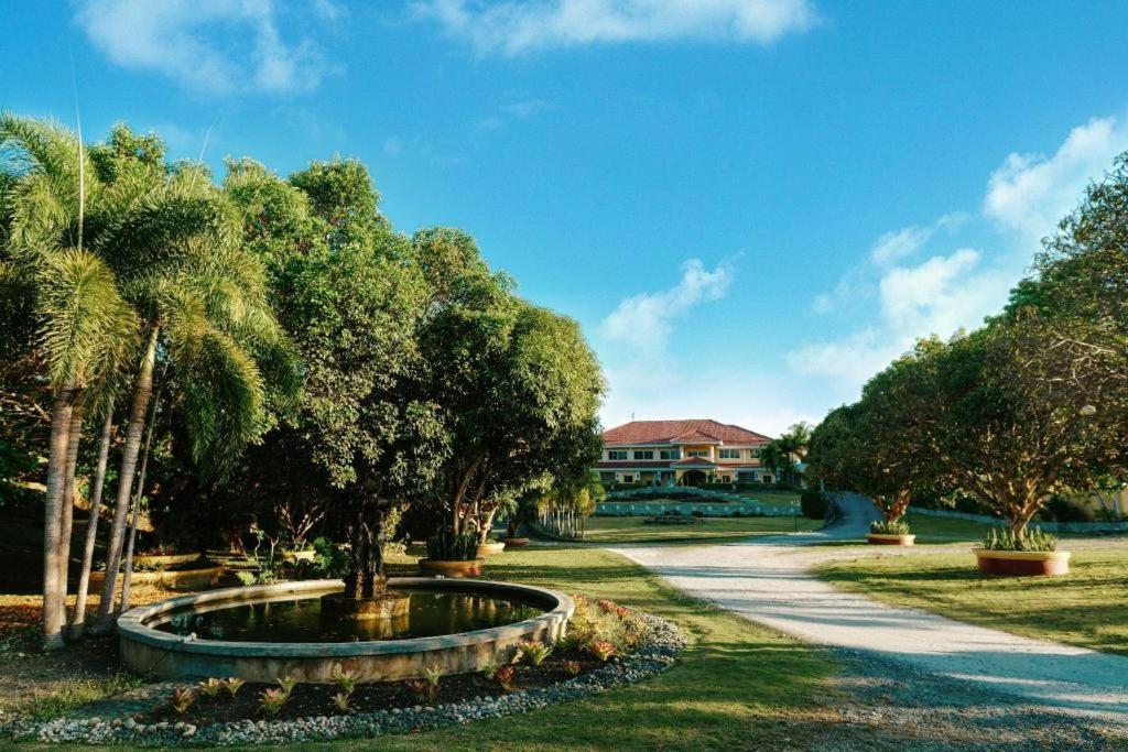 The Peacock Garden Hotel Panglao Kültér fotó